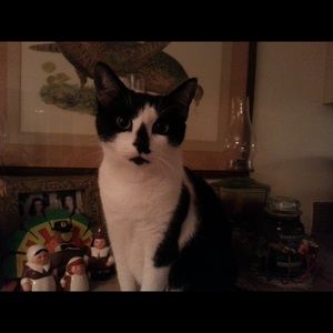 Meet your Posher, Louisa